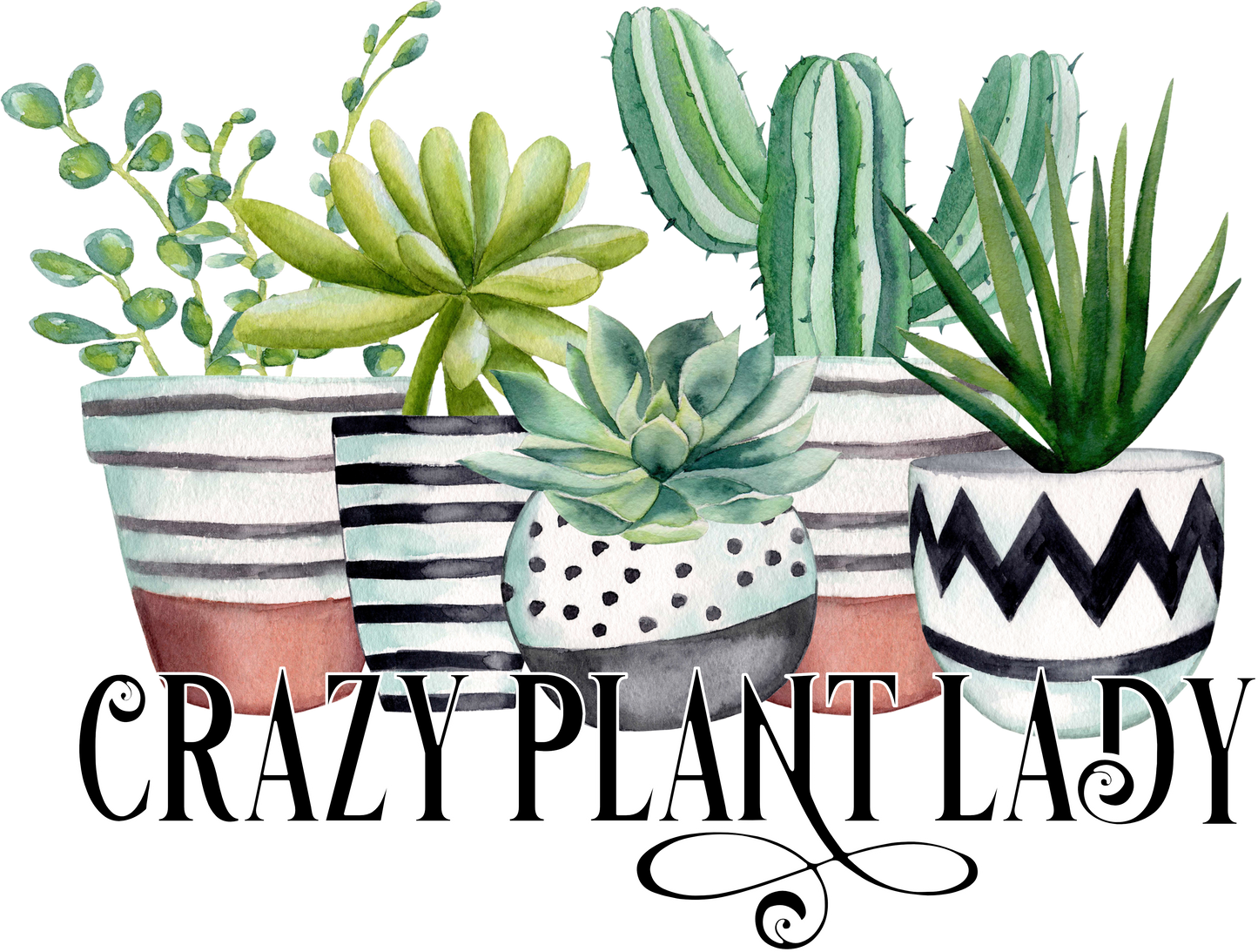 4 in 1 Can Cooler Tumbler | Crazy Plant Lady