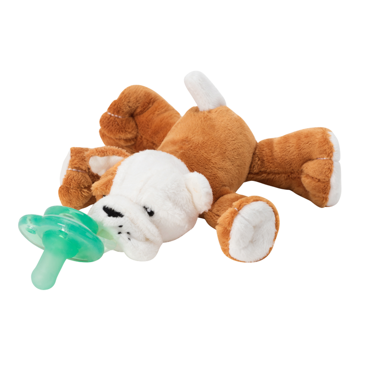 Paci-Plushies Shakies – Barkley Bull Dog